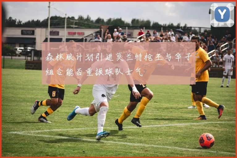 森林狼计划引进莫兰特枪王与华子组合能否重振球队士气